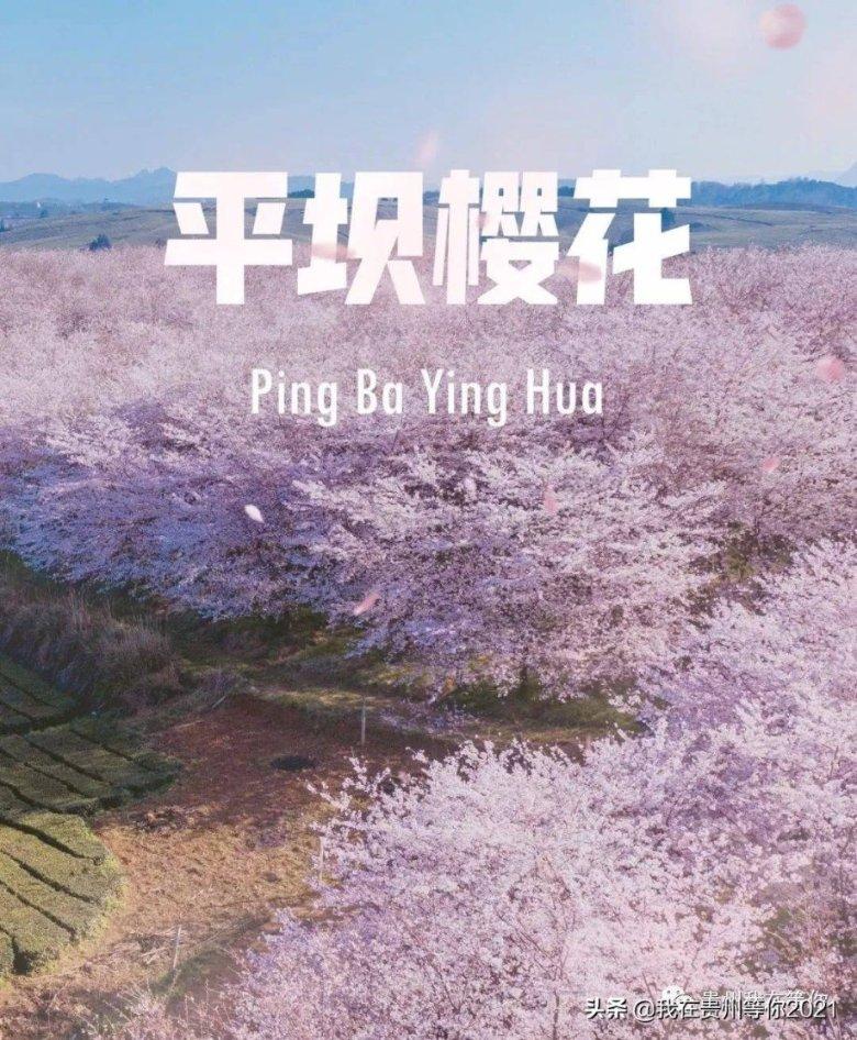 分手后忘不掉前任，想复合却发现对方已经有新欢了，还要不要找对方复合呢？- 专业的有问必答平台